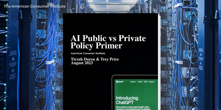 AI Public vs Private Policy Primer