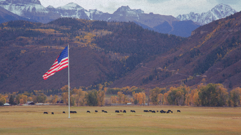 The Economic Standard: Congress Can Fix the Endangered Species Act’s Failures