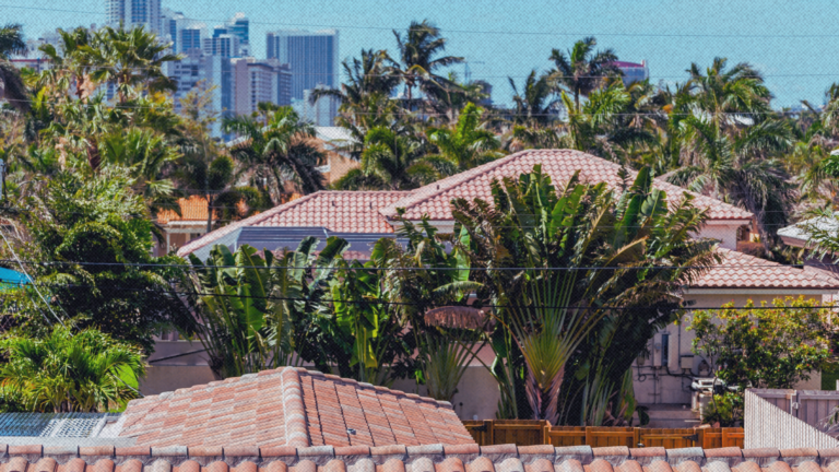 What Roofs Can Teach Us About Insurance